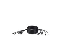 Belkin Secure KVM Combo Cable - Kabel för tangentbord/mus/video/ljud - TAA-kompatibel - DisplayPort, USB, minijack (hane) till DisplayPort, USB typ B, mini-phone stereo 3.5 mm (hane) - 3.04 m - svart F1D9020B10T